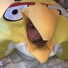eric_coon1